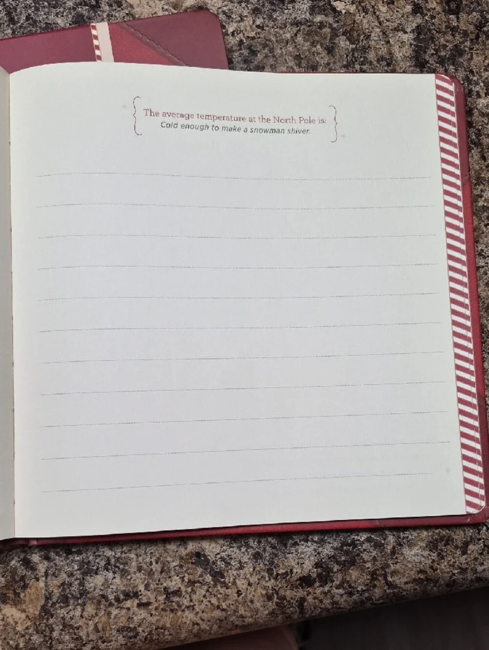 Santa's Kindness Journal